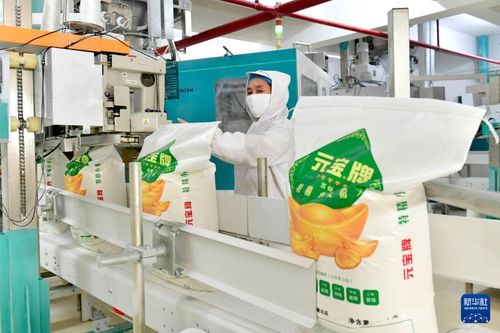 山东兖州 着力培育食品加工产业