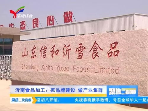 一 沂南食品产业 抓品牌建设,做产业集群 二 年味儿沂南 一起 回家过大年