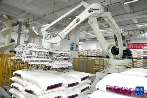 山东兖州 着力培育食品加工产业