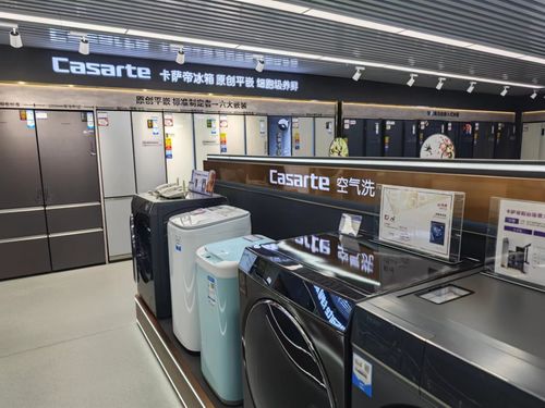 春节商业观察丨家电产品成年货 新宠 ,大家电 懒人家电热度高