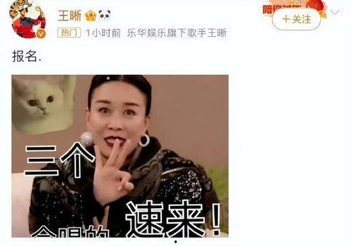 歌剧演员爆料网易新闻,网易新闻背后的真实故事