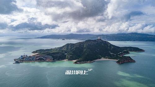 温州青山岛爆料案件最新,揭秘神秘失踪背后的惊人真相  第2张
