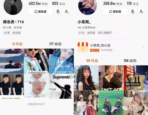 呆雨爆料视频网站,揭秘热门视频网站幕后真相