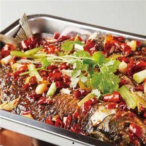 烤鱼上瘾爆料视频播放,揭秘视频播放背后的疯狂魅力