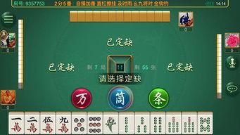 麻将配料爆料视频教程大全,视频教程大全深度解析