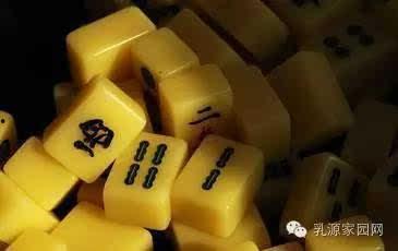 麻将配料爆料视频教程大全,视频教程大全深度解析 第3张 麻将配料爆料视频教程大全,视频教程大全深度解析 第3张