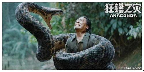 狂蟒之灾爆料视频完整版,揭秘完整版爆料视频中的惊悚瞬间与幕后真相 第3张 狂蟒之灾爆料视频完整版,揭秘完整版爆料视频中的惊悚瞬间与幕后真相 第3张