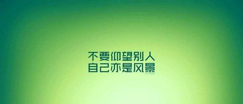 励志新闻爆料文案,励志新闻背后的感人故事 第2张 励志新闻爆料文案,励志新闻背后的感人故事 第2张