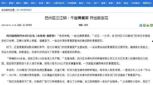 四川新闻网怎么爆料,如何有效提供新闻线索  第3张