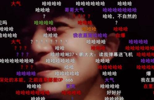 大舅哥技能爆料视频播放,视频爆料带你领略非凡魅力