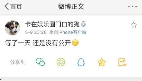 吃瓜的娱乐号叫什么名字,揭秘娱乐圈幕后故事  第2张