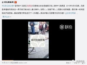 石家庄最新爆料新闻,揭秘某重大事件背后真相 第3张 石家庄最新爆料新闻,揭秘某重大事件背后真相 第3张