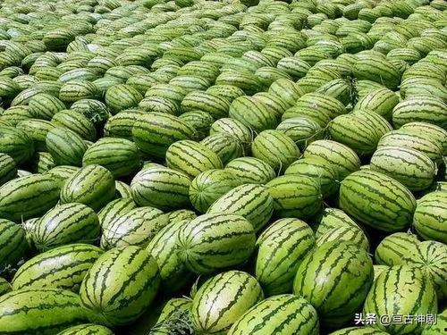 吃瓜网热门大瓜网红黑料,吃瓜网热门大瓜背后的真相