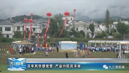 柴桑区新闻爆料电话,揭秘身边事，倾听民声心声