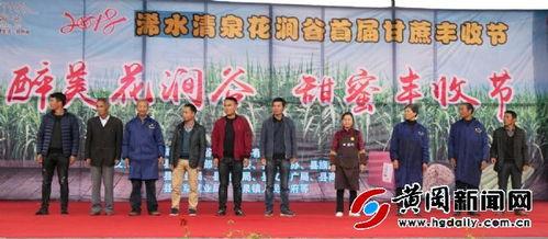 浠水二小爆料新闻报道视频