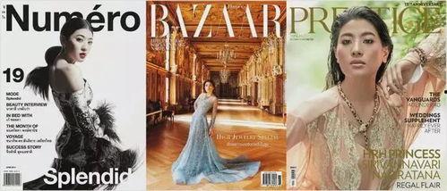 泰国贵妃最新爆料,宫廷秘闻大揭秘  第3张 泰国贵妃最新爆料,宫廷秘闻大揭秘  第3张