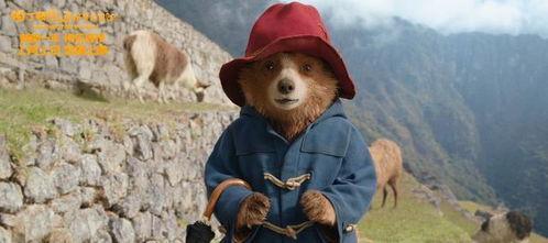 熊 电影在线观看,探寻自然与生命的深刻寓言  第1张