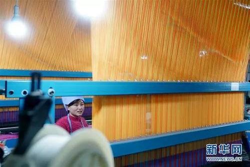 南宫市新闻爆料,聚焦城市发展新动态  第1张