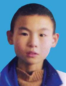 杨展最新爆料新闻,揭秘娱乐圈惊人内幕  第2张