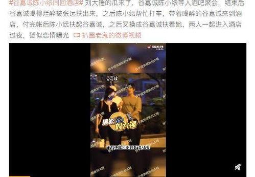 刘大锤最新爆料谷嘉诚,谷嘉诚背后惊人真相曝光! 第1张 刘大锤最新爆料谷嘉诚,谷嘉诚背后惊人真相曝光! 第1张