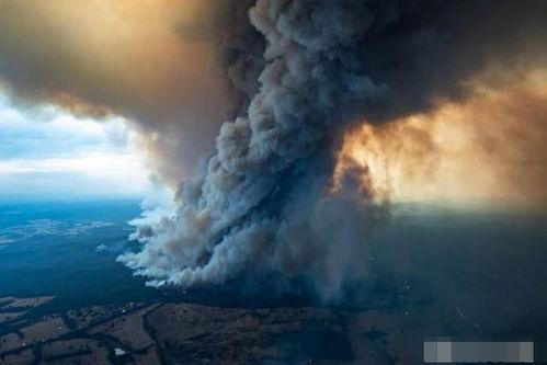 澳洲大火的最新爆料