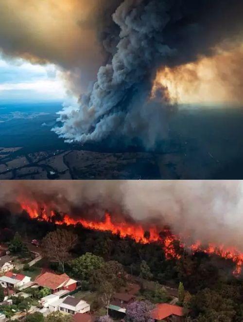 澳洲大火的最新爆料 第3张 澳洲大火的最新爆料 第3张