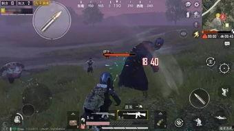 和平精英最新比赛爆料