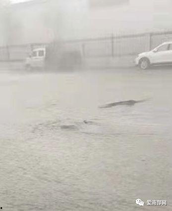 一场大雨爆料视频大全,一场大雨的视觉盛宴