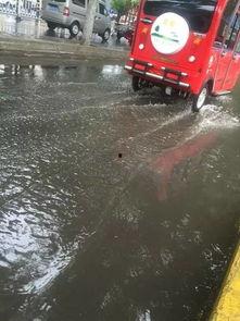 一场大雨爆料视频大全,一场大雨的视觉盛宴 第2张 一场大雨爆料视频大全,一场大雨的视觉盛宴 第2张