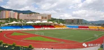 深圳学校最新爆料,最新爆料揭秘校园热点事件  第3张