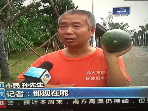 娱乐热门吃瓜事件,揭秘明星幕后恩怨情仇 第2张 娱乐热门吃瓜事件,揭秘明星幕后恩怨情仇 第2张