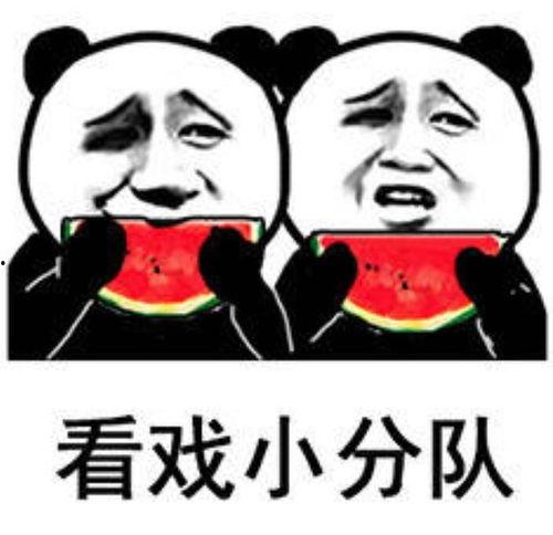 看戏吃瓜表情包下载免费,轻松逗乐你的朋友圈！