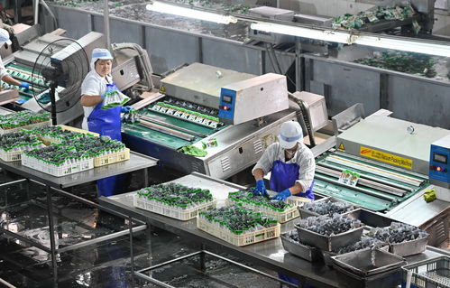 福建漳州食品企业疫情之下积极转型