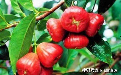 娱乐吃瓜酱皮肤管理,皮肤管理新潮流  第3张