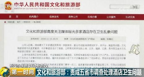 爆料奇特视频下载安装,带你领略神秘软件魅力