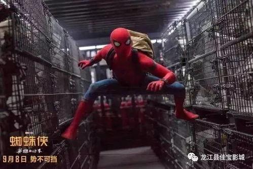 蜘蛛侠英雄归来在线观看完整版,英雄归来在线观影全纪录 第2张 蜘蛛侠英雄归来在线观看完整版,英雄归来在线观影全纪录 第2张