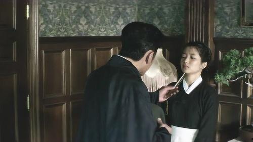 下女的诱惑在线观看,揭秘神秘女仆背后的惊悚秘密  第3张