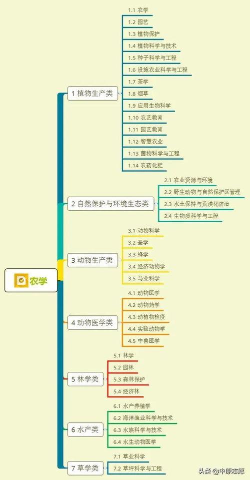 黄瓜特效爆料视频大全集,揭秘神奇美容养颜秘籍  第2张
