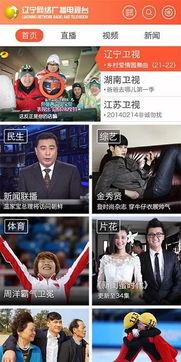 辽宁卫视直播在线观看,实时掌握精彩瞬间，尽享视听盛宴  第2张