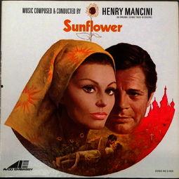 sunflower在线观看,跟随Sunflower在线之旅  第2张