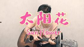 sunflower在线观看,跟随Sunflower在线之旅  第3张
