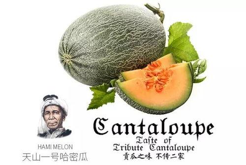 娱乐吃瓜风格是什么意思啊,揭秘“吃瓜群众”的娱乐吃瓜风格  第2张