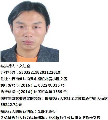 陆良最新爆料,揭秘娱乐圈惊人内幕  第2张