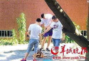 汕头记者爆料新闻最新消息,揭秘某重大事件背后真相 第2张 汕头记者爆料新闻最新消息,揭秘某重大事件背后真相 第2张