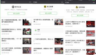 爆料哥短视频在线观看,在线观看背后的精彩瞬间  第3张