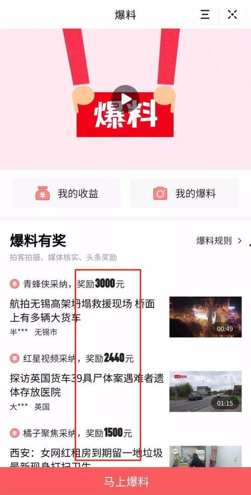 郑州情侣头条爆料视频,甜蜜瞬间引网友热议！