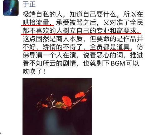 郭敬明圈内人爆料了吗视频,揭秘娱乐圈背后真相  第2张