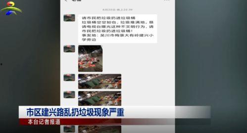 吴川最新爆料新闻网,揭秘背后惊人真相  第2张