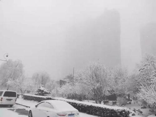 石家庄爆料下雪事件最新,城市交通受阻,市民生活受影响 第1张 石家庄爆料下雪事件最新,城市交通受阻,市民生活受影响 第1张