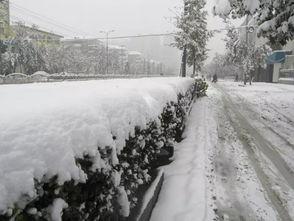 石家庄爆料下雪事件最新,城市交通受阻,市民生活受影响 第2张 石家庄爆料下雪事件最新,城市交通受阻,市民生活受影响 第2张